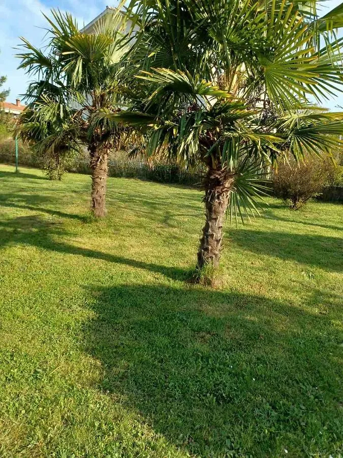 Apartman Hill Croatia